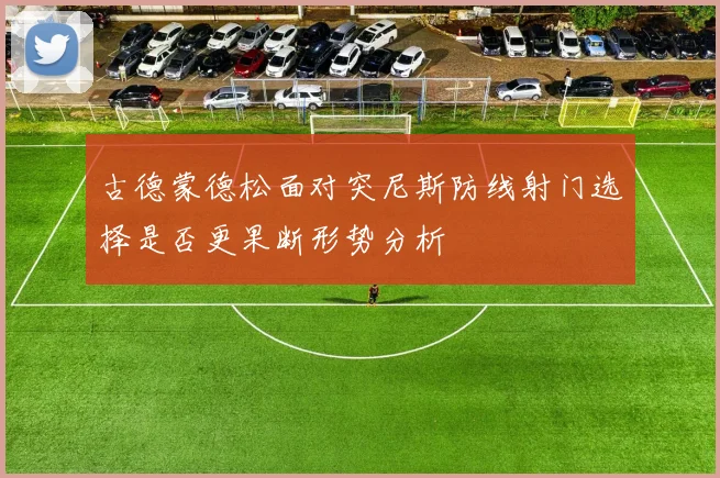 古德蒙德松面对突尼斯防线射门选择是否更果断形势分析
