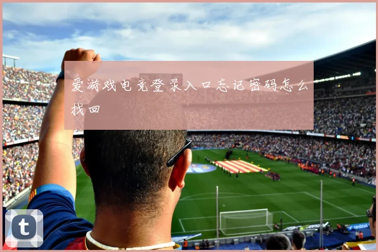 爱游戏电竞登录入口忘记密码怎么找回